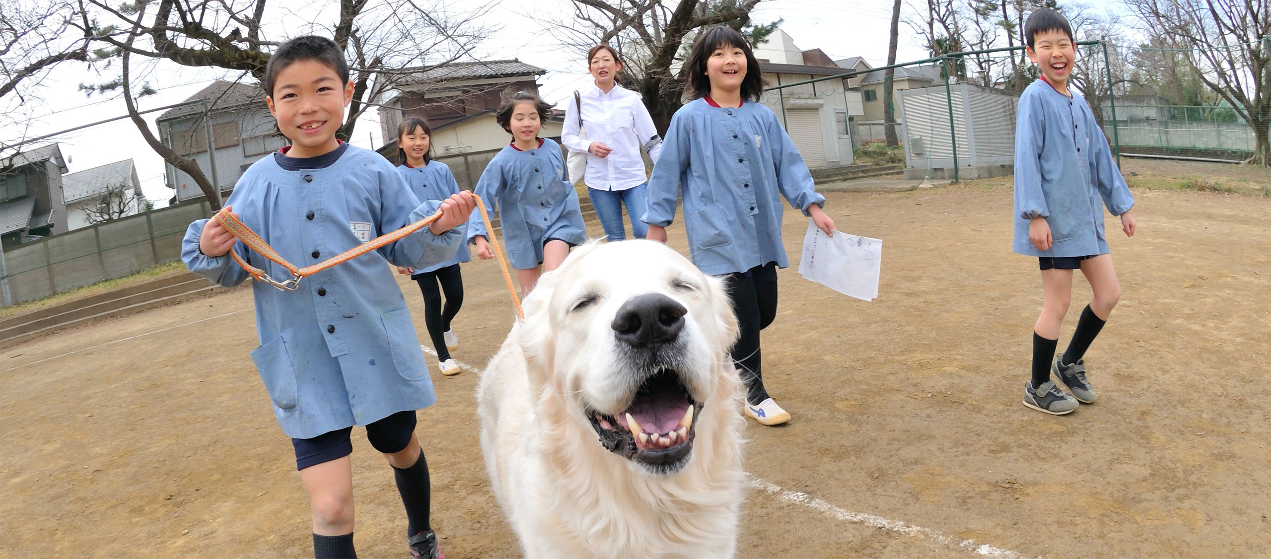 子どもをいじめから守りたい 犬と子どもをつなぐ マナーニ の魅力とは コロナに負けず頑張っている子ども達を応援したい人におすすめの支援団体